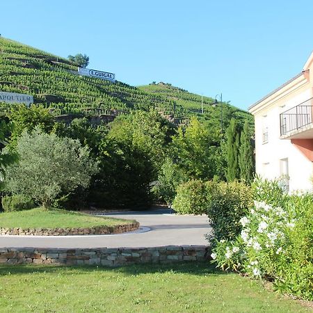 Hotel Le Domaine Des Vignes Ampuis Lyon Sud Vienne Exterior foto