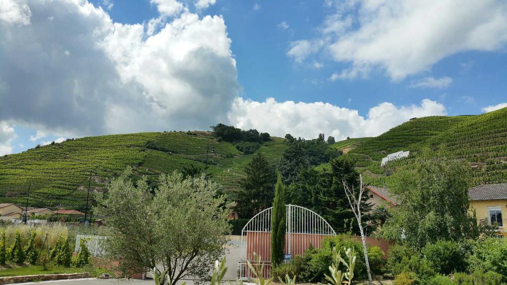 Hotel Le Domaine Des Vignes Ampuis Lyon Sud Vienne Exterior foto