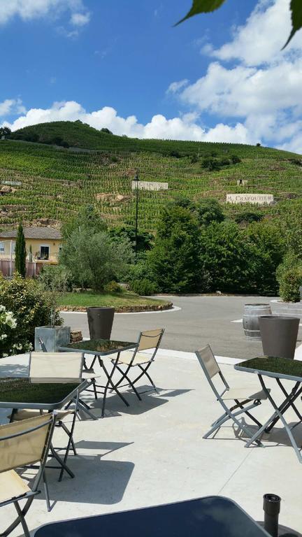 Hotel Le Domaine Des Vignes Ampuis Lyon Sud Vienne Exterior foto