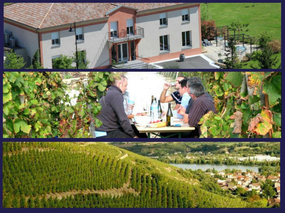Hotel Le Domaine Des Vignes Ampuis Lyon Sud Vienne Exterior foto